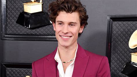 Artist Shawn Mendes